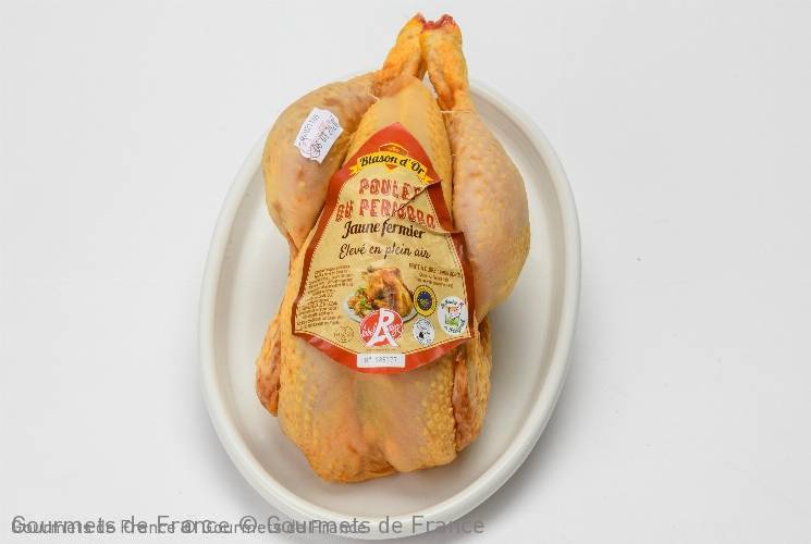 Poulet jaune fermier Label Rouge IGP Périgord Blason D’Or