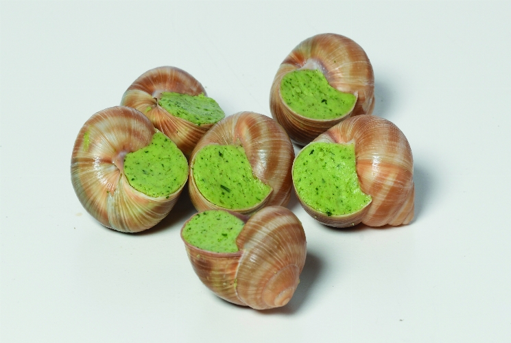 Escargots de Bourgogne
