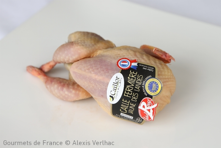 Caille fermière jaune des Landes Caillor