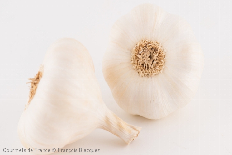 Ail blanc de Lomagne