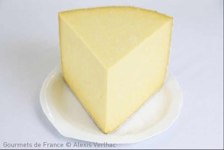 Cantal AOP