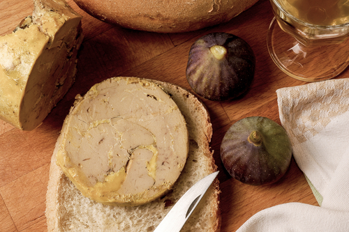 agence marketing agroalimentaire vin experts marketing sensoriel