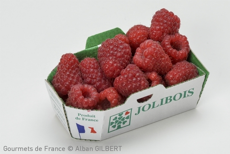 Framboise Tulameen Jolibois de production Française