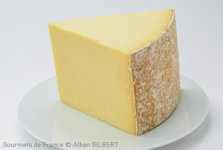 Fromage AOP Salers