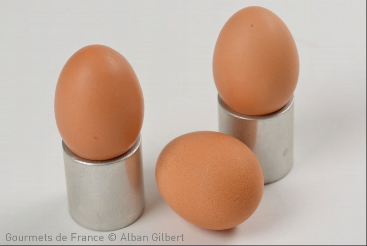 Oeufs de poules élevées en plein air Maison Quintard