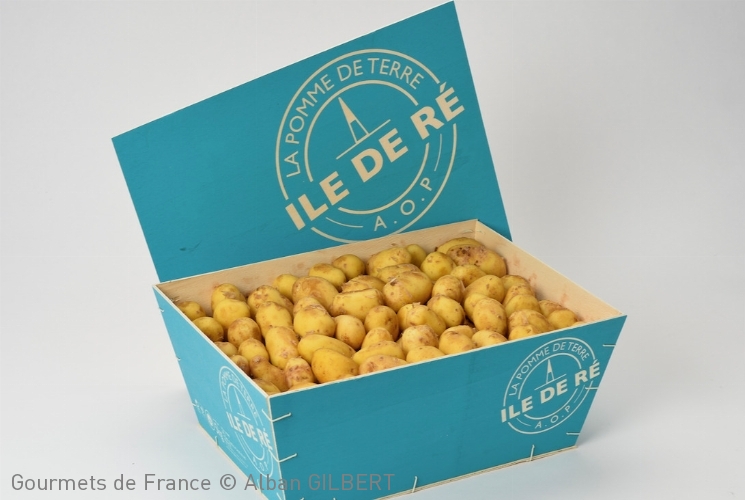 Pomme de Terre AOP Ile de Ré