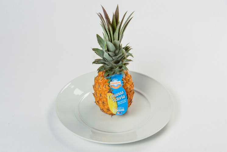 Ananas Victoria de l’Ile de la Réunion Philibon