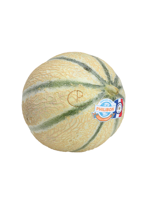PHILIBON – Melon charentais