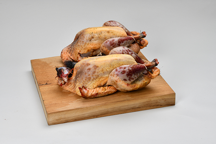 Maison Olivier Dandieu – Pintade – Édition 50