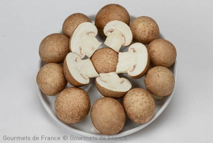 champignons de Paris brun