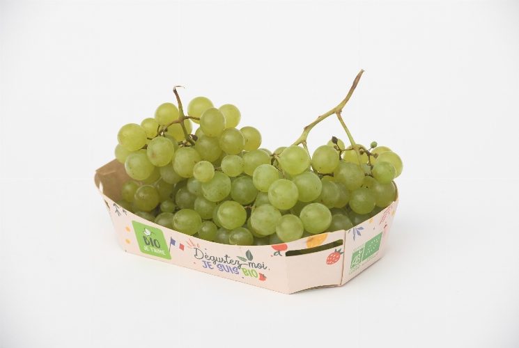 RAISIN BLANC EXALTA