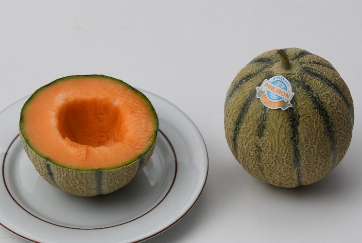 melon