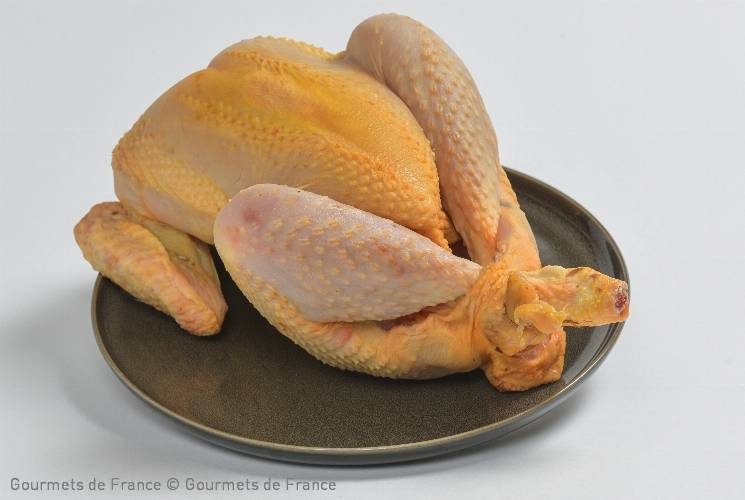 Poulet jaune fermier