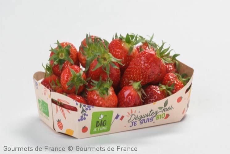 Fraises
