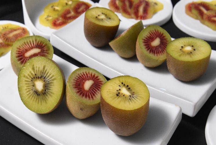 Le Kiwi Rouge Rossy et Kiwi Jaune