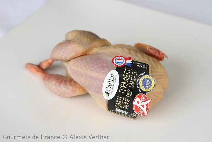 Caille fermière jaune des Landes Caillor