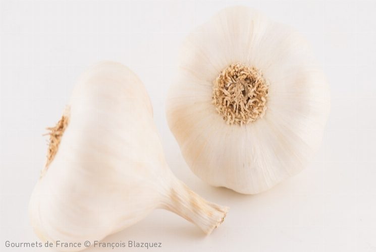 ail-blanc-lomagne