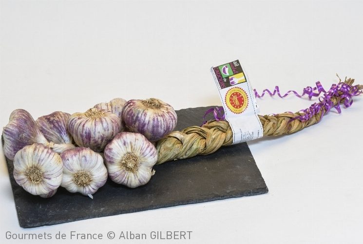 ail-violet-de-cadours-min