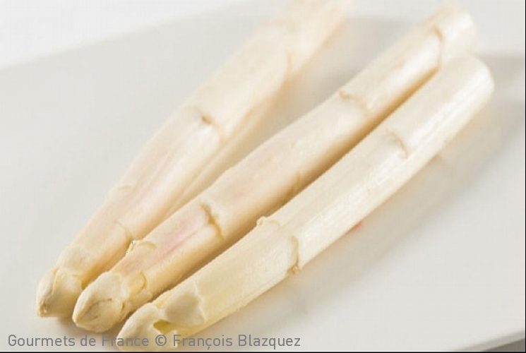asperges de blayais