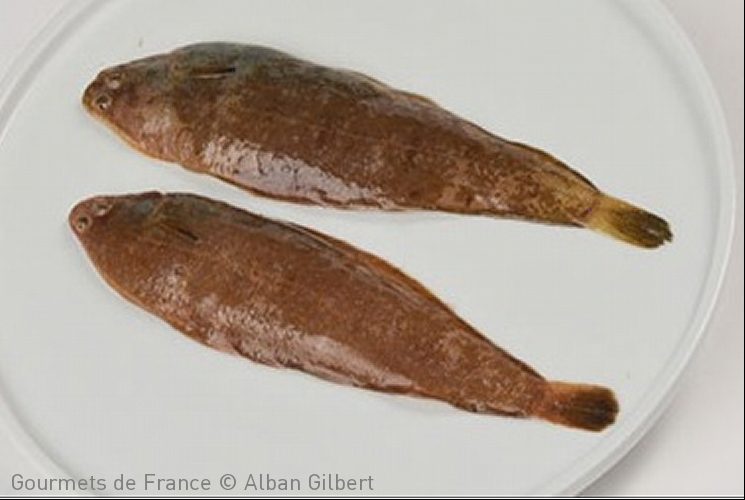 ceteau