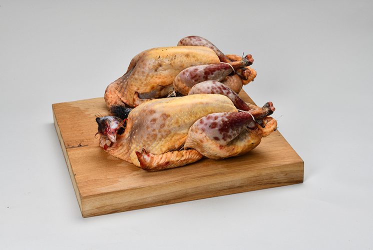 degustations recompense alimentaire vins saveur tests experts jury professionnel evaluation sensorielle 1 gourmets de france n°50