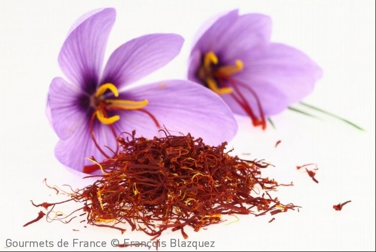 fleur-safran-tests-produit