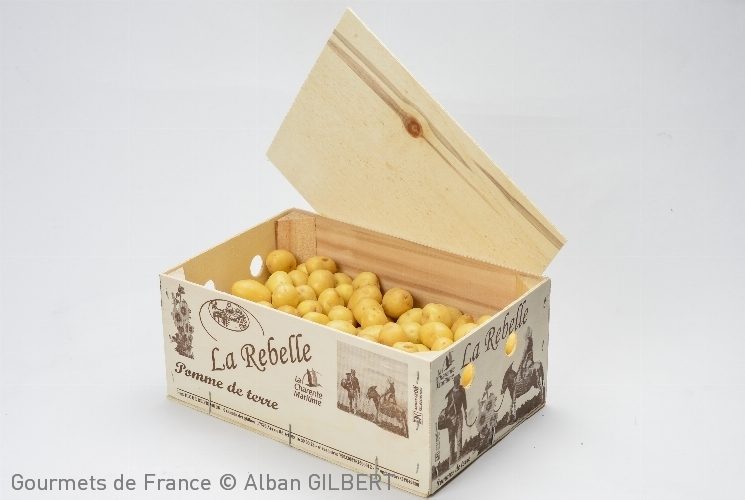 pomme-de-terre