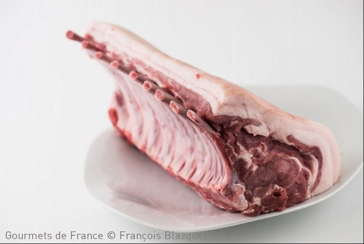 porc-prince-biscay.jpg