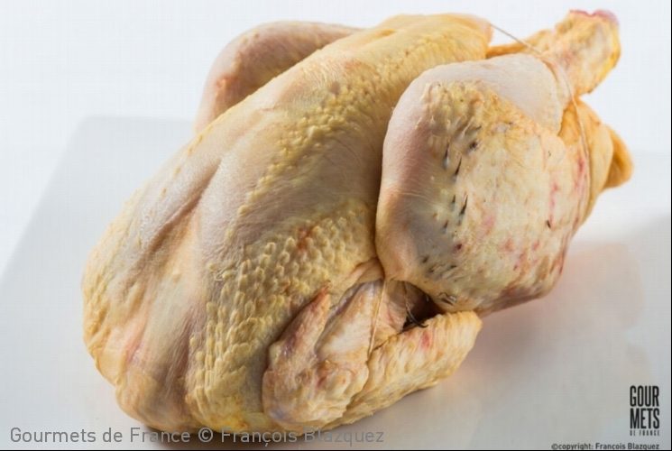 poulet jaune fermier st sever