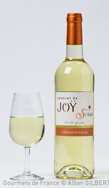vin-blanc-domaine-joy